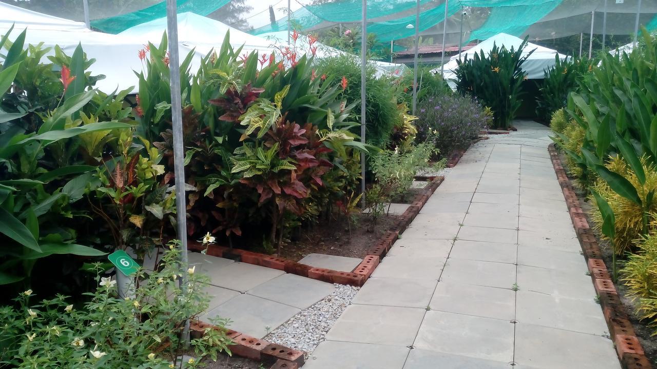فيلا بانتايْ تْشينانغفي T Garden المظهر الخارجي الصورة