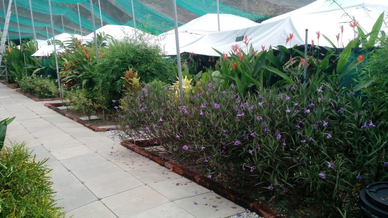 فيلا بانتايْ تْشينانغفي T Garden المظهر الخارجي الصورة