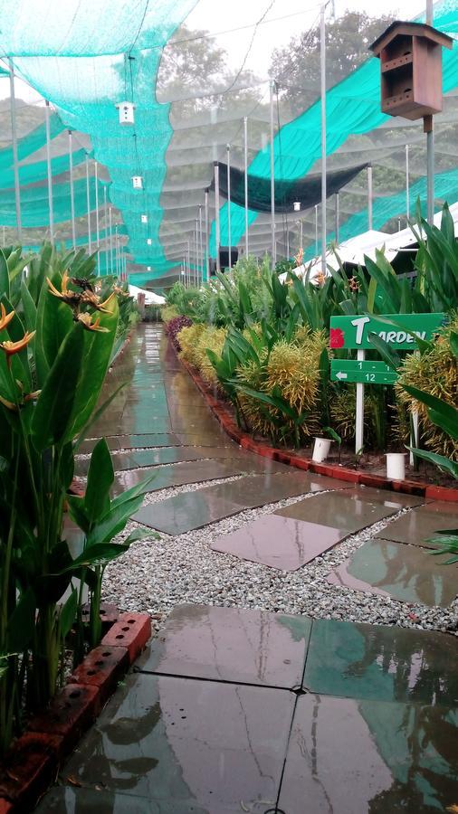 فيلا بانتايْ تْشينانغفي T Garden المظهر الخارجي الصورة