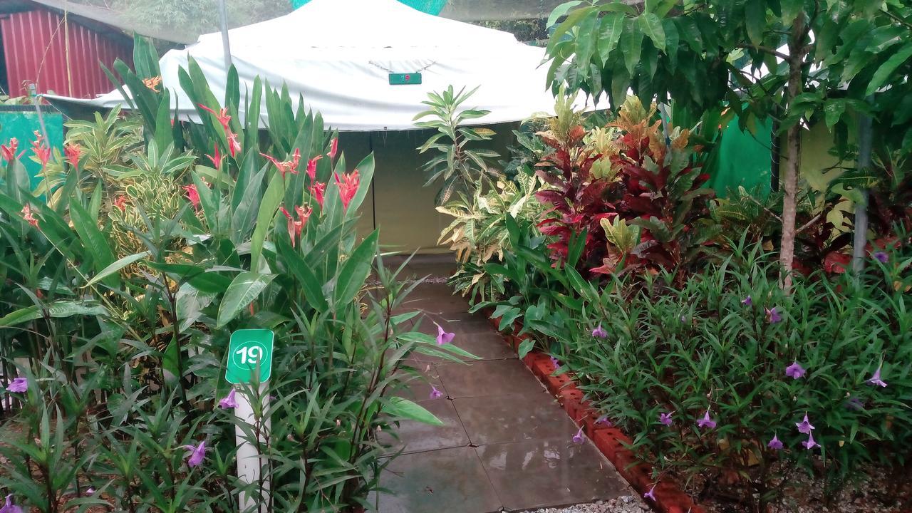 فيلا بانتايْ تْشينانغفي T Garden المظهر الخارجي الصورة