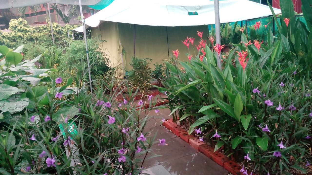 فيلا بانتايْ تْشينانغفي T Garden المظهر الخارجي الصورة