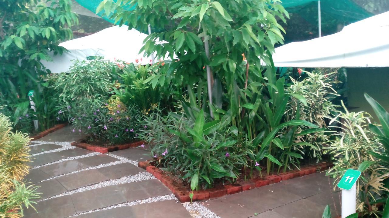 فيلا بانتايْ تْشينانغفي T Garden المظهر الخارجي الصورة