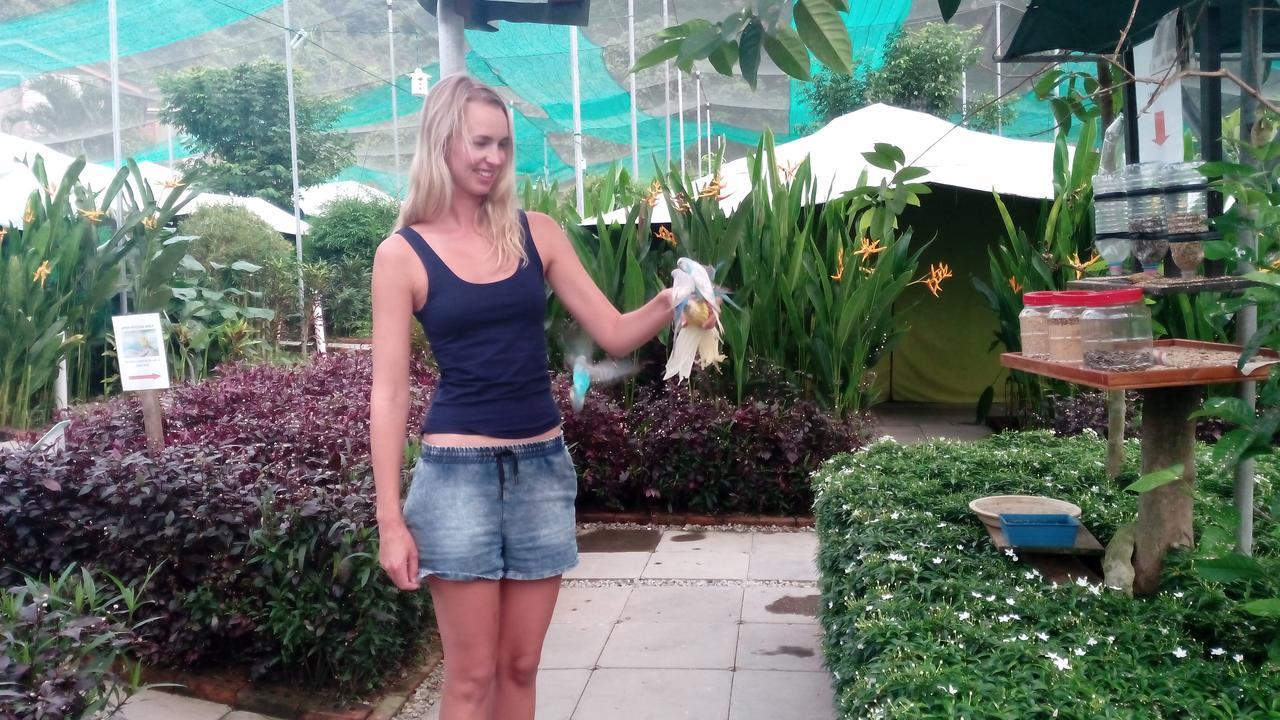 فيلا بانتايْ تْشينانغفي T Garden المظهر الخارجي الصورة